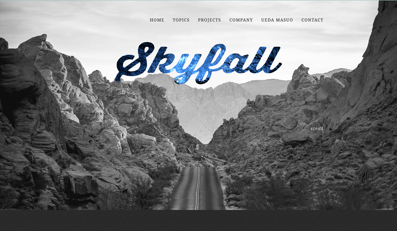 SKYFALL公式サイト